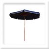 Plants: image 1 0f 4 thumb